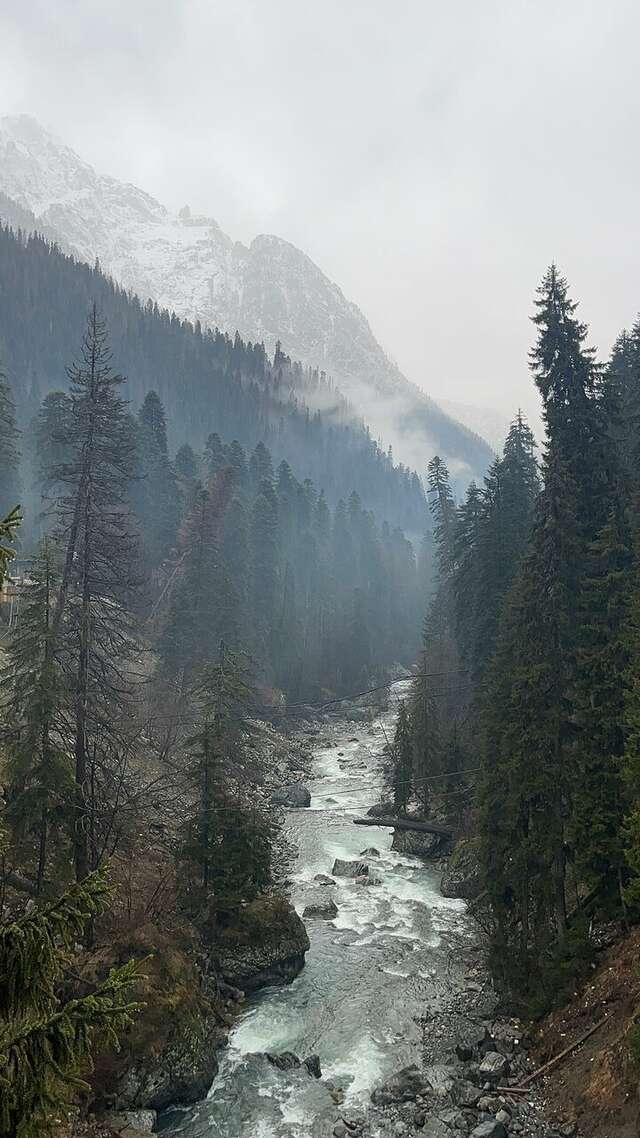 Отель Горский Дом Домбай-203