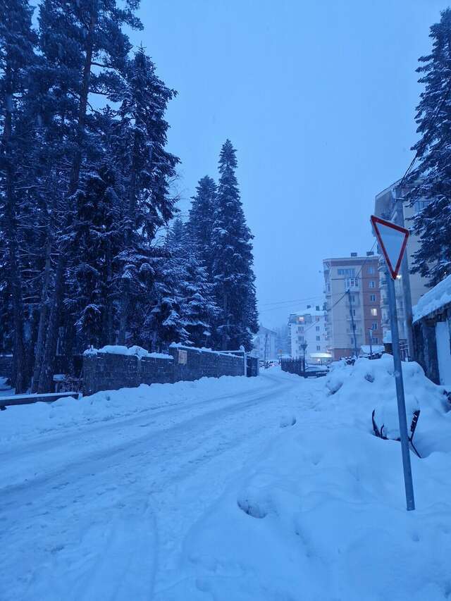 Отель Горский Дом Домбай-222