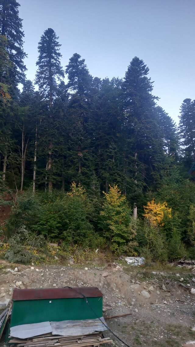 Отель Горский Дом Домбай-236