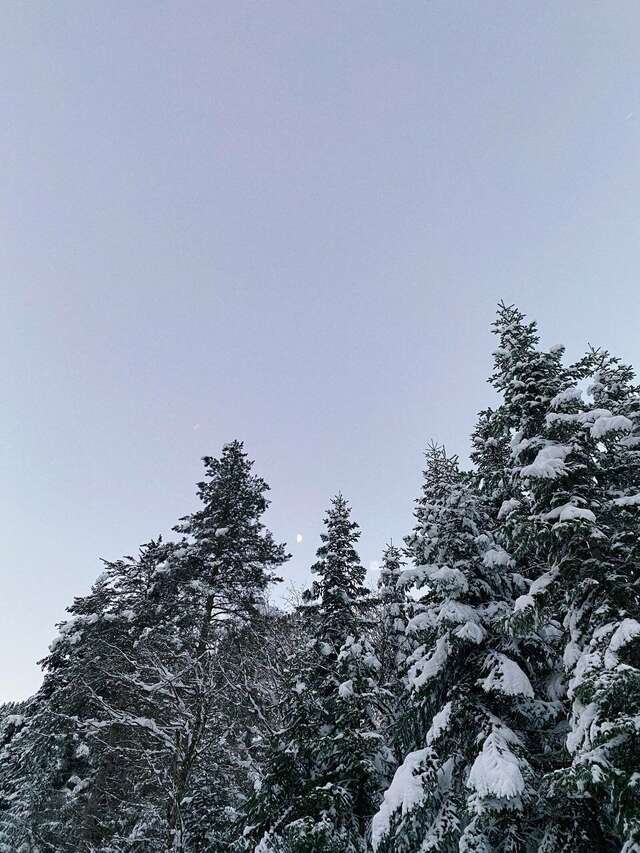 Отель Горский Дом Домбай-71