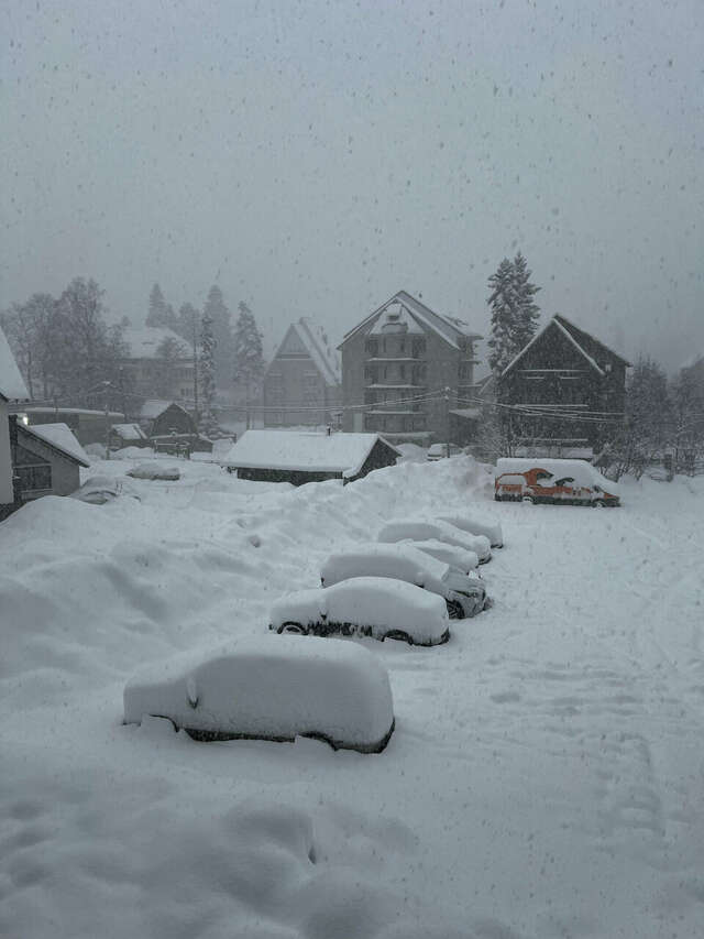 Отель Горский Дом Домбай-251