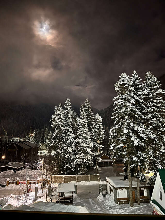 Отель Горский Дом Домбай-230